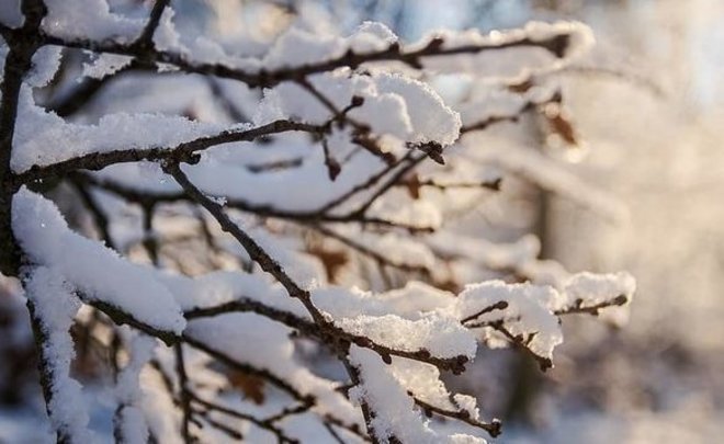 В Поволжье на смену аномальным холодам придет тепло