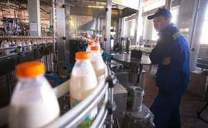 Россельхознадзор: 28% молочных продуктов в Оренбуржье являются фальсификатами