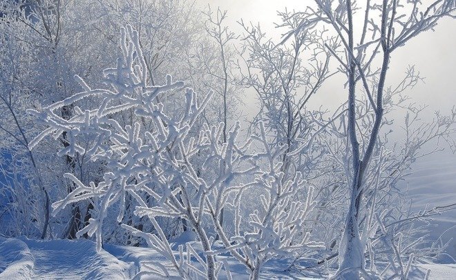 Синоптики предупредили татарстанцев о сильных морозах — до –34°С — в ночь с 28 февраля на 1 марта