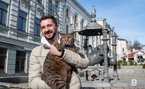 Директор музея-заповедника Свияжска о визите кота Виктора: «Котам еще экскурсии не проводил»