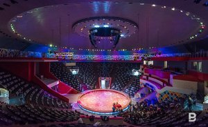 Власти Башкирии оценивают реконструкцию уфимского цирка в 1 млрд рублей