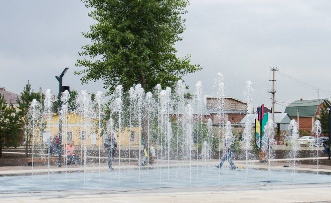 В Челнах за два месяца высадили пять тысяч деревьев и кустарников