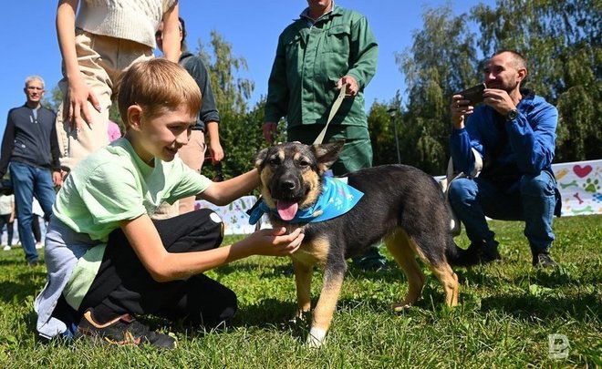 В Казани открыт dog-friendly избирательный участок