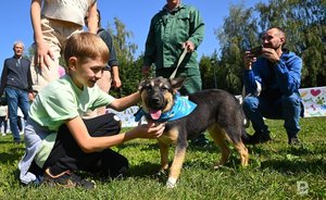 В Казани открыт dog-friendly избирательный участок