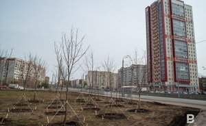 В России вступил в силу запрет о размещении магазинов стройматериалов в жилых домах