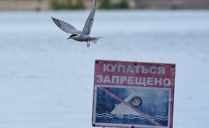 Роспотребнадзор предупредил об опасности купания на двух пляжах Казани