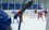 Фазель заявил, что однажды чемпионат мира по хоккею может пройти в Казани