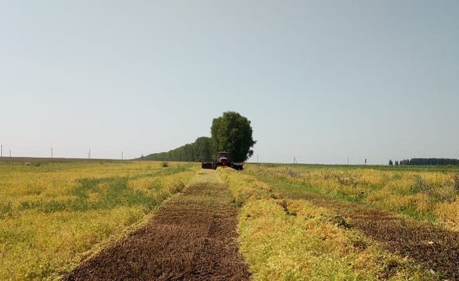 Уборка хлеба и фонтаны с подсветкой: посты глав районов Татарстана в «Инстаграме» на 19 июля