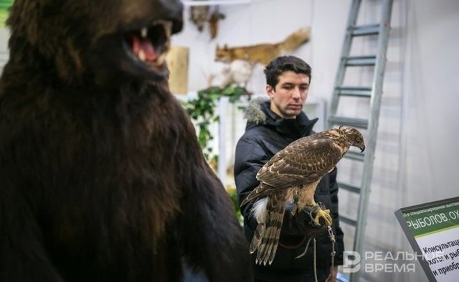 Татарстанцам напомнили о правилах охоты