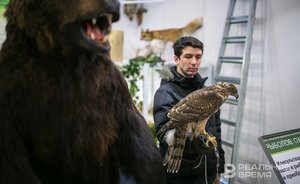 Татарстанцам напомнили о правилах охоты