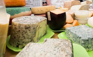 Башкирская агрофирма «Тукмак» вложит в производство сыров и мяса 535 миллионов рублей