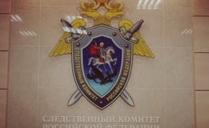 Грабителя, который отнял у бабушки продукты во время изоляции в Казани, не будут судить за ее смерть