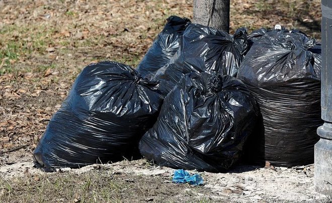 МЧС России предложило разрешить с 2025 года сжигать мусор на землях общего пользования