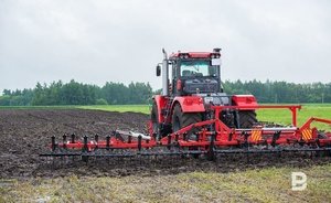 В России цены на пшеницу превысили стоимость нефти