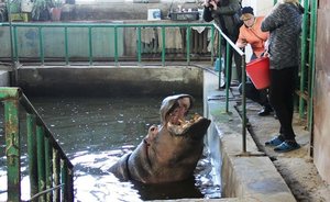 В казанском зоопарке попросили посетителей не кормить животных