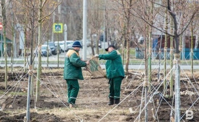 В Татарстане во время санитарно-экологического двухмесячника вывезли более 400 тыс. куб. м отходов