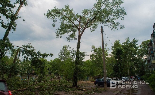 Последствия субботнего урагана в Казани должны устранить до конца суток
