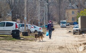 Эксперт предрек продление режима самоизоляции на год в худшем сценарии распространения коронавируса
