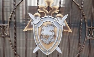 Бастрыкин поручил провести проверку после обращения жителей Тарловки о незаконном присвоении берега