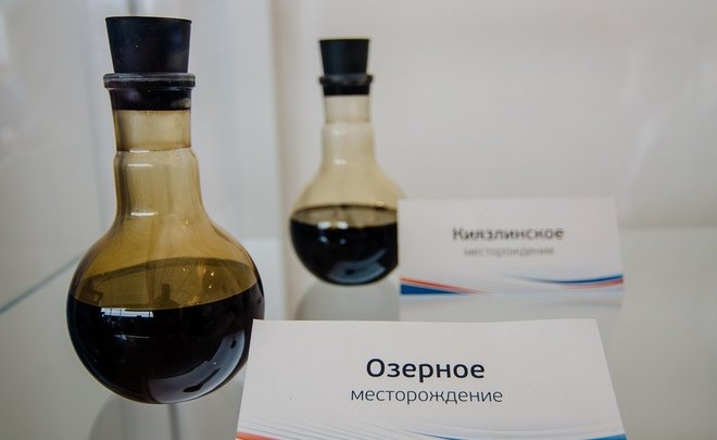 ОПЕК: добыча нефти в России вырастет в 2019 году