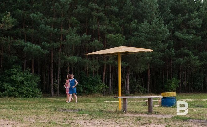 В Казани от клещей обработали зеленые зоны площадью 276 га