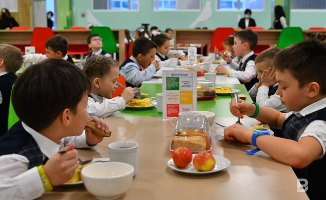 В России хотят ввести единый стандарт на горячее питание в школах
