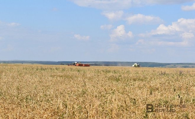 За год в Татарстане выявили 100 тысяч га «заброшенных» сельхозземель