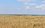 За год в Татарстане выявили 100 тысяч га «заброшенных» сельхозземель