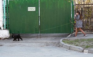 Среднемесячная температура сентября на западе ПФО ожидается выше нормы