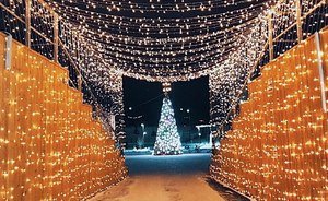 Минниханов опубликовал снимки новогодних елок из Лениногорска и Буинска