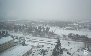 В Челнах и Нижнекамске зафиксировали превышение концентрации фенола в воздухе