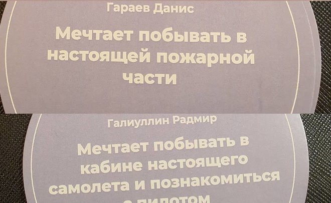 Спасатели РТ рассказали, как готовятся исполнить мечту мальчика побывать в пожарной части