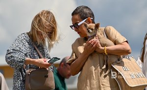 В Татарстане на этой неделе потеплеет до +28 градусов