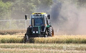 Валовый сбор гречихи в России может достичь показателя в 1,1 миллиона тонн