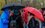 Синоптики Татарстана ожидают дожди и похолодание с середины недели