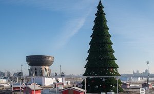 Казанская елка стала одной из самых высоких в России