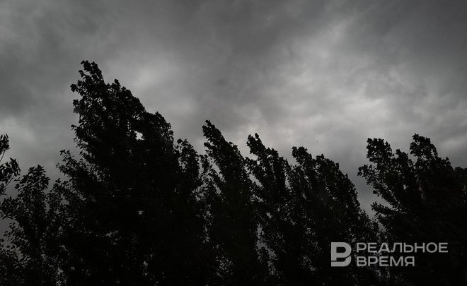 В Казани шквалистый ветер повалил деревья и заборы