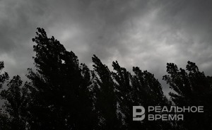 В Казани шквалистый ветер повалил деревья и заборы