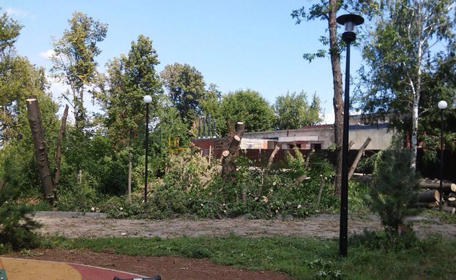 В парке Горького под парковку начали спиливать деревья