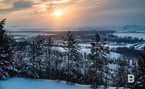 В Татарстане пройдет акция «Чистые леса»