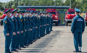 В МЧС предложили прекратить практику сжигания сухой травы, приводящую к пожарам