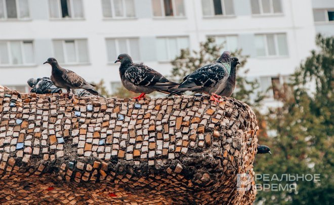 В Казани снесут самовольно установленные голубятни, шлагбаумы и бытовки