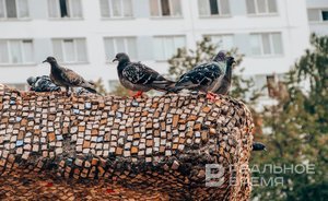 В Казани снесут самовольно установленные голубятни, шлагбаумы и бытовки