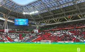 Более 100 тысяч болельщиков из Китая приедут в Россию на ЧМ-2018