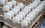 В России производство мяса птицы и яиц превышает спрос минимум на 3%