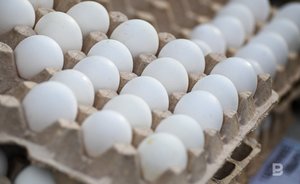 В России производство мяса птицы и яиц превышает спрос минимум на 3%