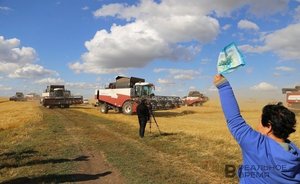 Правительство России утвердило порядок ведения реестра сельскохозяйственных земель