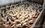 В хозяйствах и на предприятиях Татарстана содержится 18 млн птиц