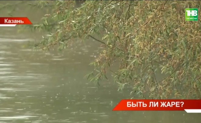 Синоптики рассказали, каким будет лето в этом году — видео