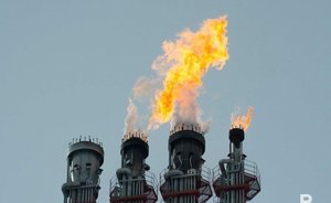 Выручка предприятий НГХК Татарстана снизилась на 17% по итогам 9 месяцев